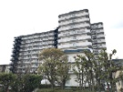 日商岩井香枦園マンション