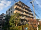 パレ苦楽園
