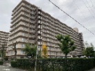 レックスタウン新高