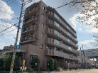 ネオディ甲子園高潮