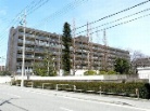 メゾン甲子園