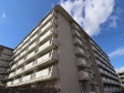 日商岩井上甲子園マンション
