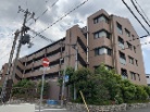 レピア甲子園