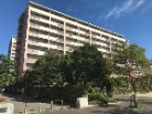 西宮マリナパークシティ桜のまち