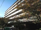 ステイツ西宮甲東園
