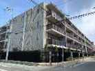 ブランズ甲子園