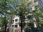 パラツィーナセシリア仁川
