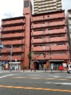 ノバカネイチ堂ヶ芝