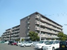 コスモハイツ新大宮
