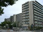 レスタージュ橘通り緑彩館