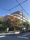 ライオンズマンション立花