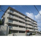 �T���}���V�������ˌ�