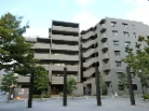 コスモシティ住吉川公園イースト