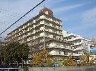パレス東灘