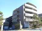ステイツ住吉川サンクチュアリスクエア