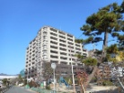 ルネ神戸住吉川清流の道