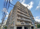 ワコーレファラオ本山