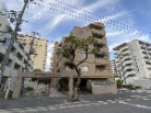 サンライズ本山