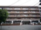 ライオンズマンション南楠葉