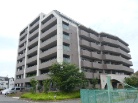 デュアル長尾