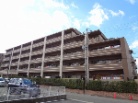 アルス松井山手セントラルコート