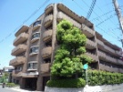 ノバ菱屋西