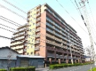 ルイシャトレ巽東