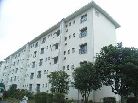 中登美第2団地