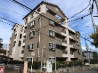 パラツィーナセシリア逆瀬川