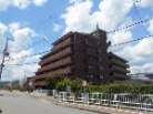 ゴールデングリタ宝塚