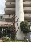 サン河堀口ハイツ