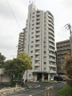 ICube平野