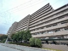 コスモ宝塚