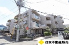 グリーンエクセルくれは2