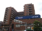 ステーションN