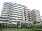 芦屋レジデンス打出小槌町