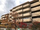 コート芦屋三条町