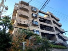 グレーシアス芦屋川