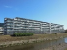 CcfA