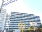 MIRAIMO SQUARE