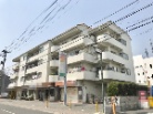 ハイプラザ長岡