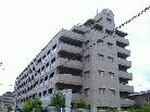 アルファステイツ南新在家
