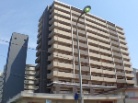 アルファステイツ野里