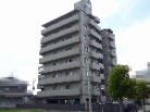 サクラメント手柄南