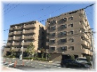 ロイヤルヴィーゼ南新在家