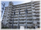 アルファステイツ宮西