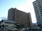 グレーシィ石山