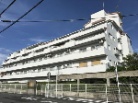 コティ横木