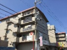 TO[X䎛