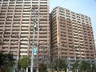 リーザス大阪